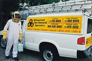 Oro Valley bee removal service truck and employee